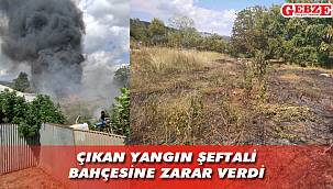 Tavşanlı’yı korkutan yangın