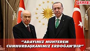 Bahçeli'den çok net açıklama