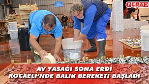 Balıkçılar 'vira bismillah' dedi