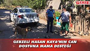 Büyükşehir, mama desteğinde bulundu