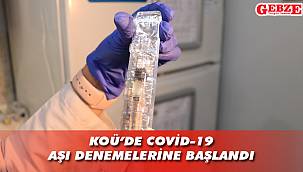 Çin'den gelen aşı Kocaeli'nde deneniyor