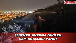 Hatıralarını koruyamadık!..