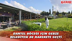 İlaçlamalar devam ediyor