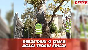 İlaçlandı, bakımı yapıldı