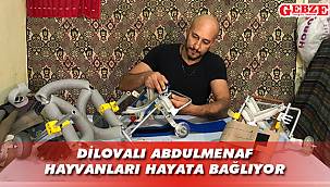 Kedi ve köpekler için yürüteç tasarlıyor