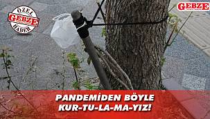 Kullanılmış maskeyi ağaca astılar