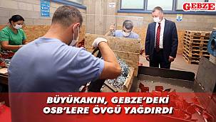 Önce GEPOBS'a, ardından da İMES'e gitti