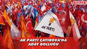 Temayül yoklamasında kimlere oy çıktı?