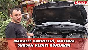 Yavuz Selim sakinlerinden kedi operasyonu