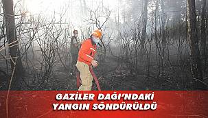 3 dönüm orman alanı kül oldu