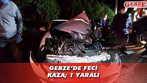 Balçık yolunda kamyonla çarpıştı