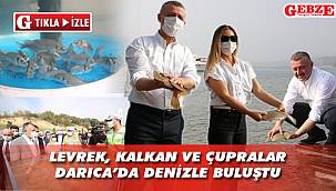 Balıklar bu kez Darıca'dan denize bırakıldı