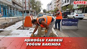 Büyükşehir, Darıca’da çalışıyor