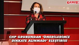 Çalışkan, performans programını eleştirdi