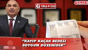 Tarhan'dan kaçak elektrik açıklaması