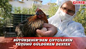Çiftçilere 20 bin tavuk verildi