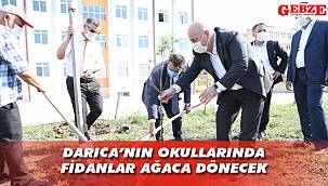 Darıca'da okul bahçeleri yeşillendi