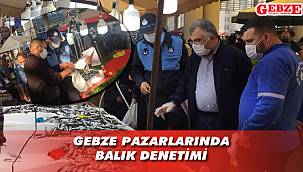 Gebze'de balıkçılar denetimden geçti