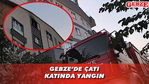 Gebze'deki yangın 1 saatte söndürüldü