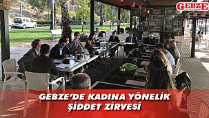 Gebze protokolü kadına şiddeti konuştu