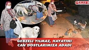 Gebzeli hayvanseverin duygulandıran özverisi