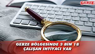 İŞKUR Gebze rakamları paylaştı