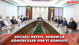 Kocaeli heyetinden Ankara'ya çıkarma