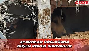 Minik köpeği düştüğü yerden itfaiye kurtardı