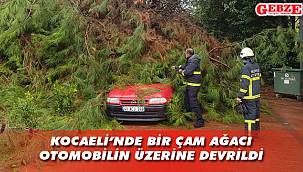 Otomobil şiddetli rüzgardan nasibini aldı