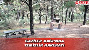 Piknik alanları düzenli temizleniyor