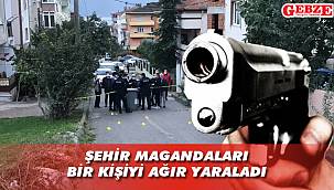 Şehir magandaları yüzünü Kocaeli'nde gösterdi