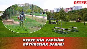 Tatlıkuyu Vadisi, bakımdan geçiyor