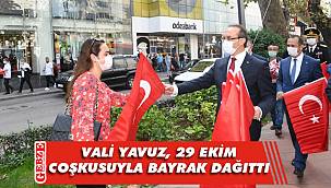 Vali Yavuz bayrak dağıttı