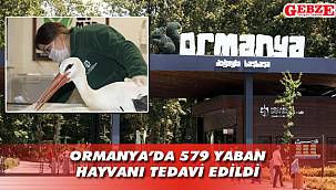 Yaban hayvanları Ormanya'da tedavi oluyor