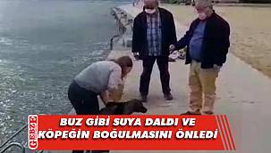 Boğulma tehlikesi geçiren köpeği kurtardı