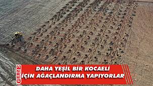 Büyükşehir, dolgu alanlarını ağaçlandırıyor