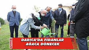 Darıca'da fidan dikim etkinliği gerçekleştirildi