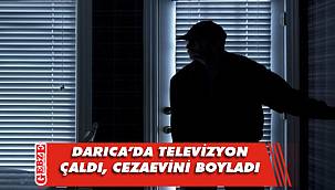 Darıca'da televizyon hırsızlığına tutuklama