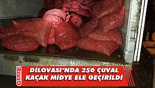 Dilovası'nda kaçak midye operasyonu