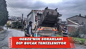 Gebze'de sonbahar temizliği devam ediyor