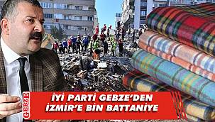 İYİ Parti'den İzmir'e yardım eli