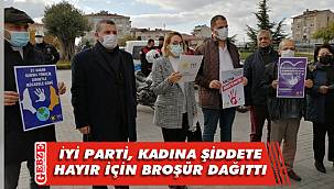 İYİ Partililer kadına şiddete dikkat çekti