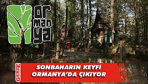 Ormanya'da görsel şölen