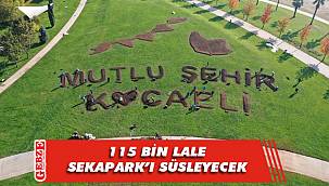 Sekapark'a 115 bin lale ekildi