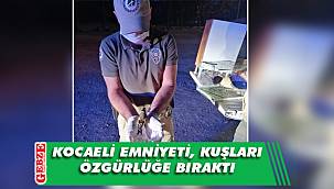 Yasadışı avlanan kuşlar özgürlüğe uçtu
