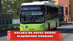 239 otobüsle bin 121 sefer yapıldı