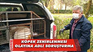 Başsavcılık o olay karşısında harekete geçti