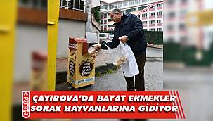 Bu proje ayakta alkışlanır