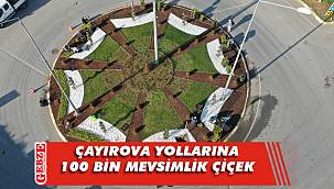 Çayırova, mevsimlik çiçeklerle donatıldı