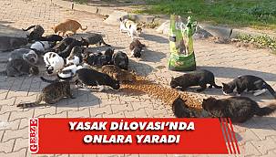Dilovası Belediyesi sevgisiz ve gıdasız bırakmadı